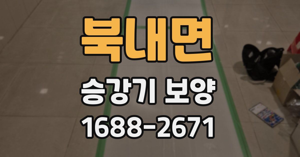 북내면 승강기 보양