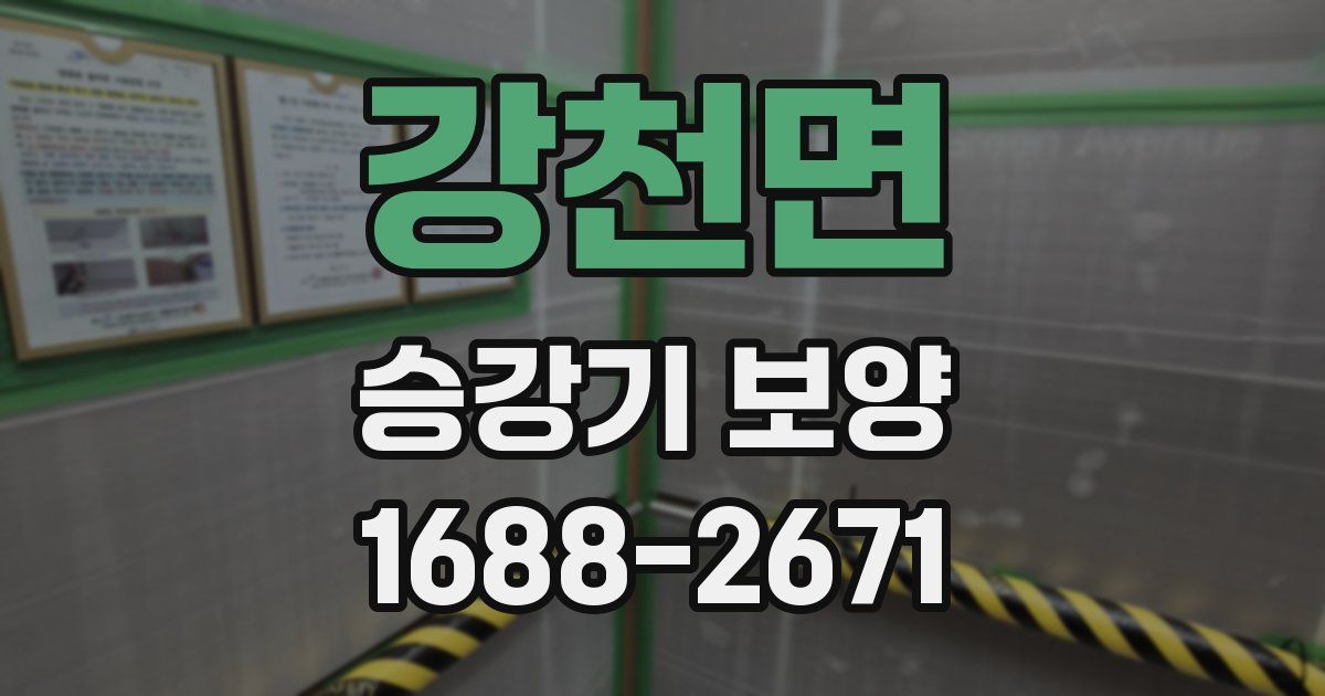 강천면 승강기 보양