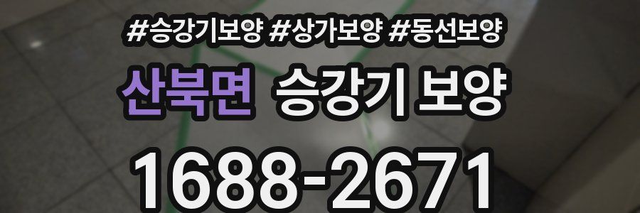 산북면 승강기 보양