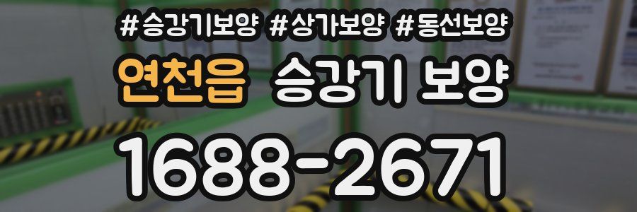 연천읍 승강기 보양