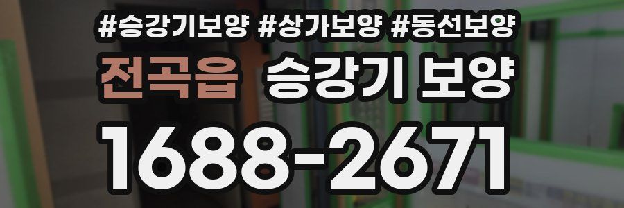 전곡읍 승강기 보양