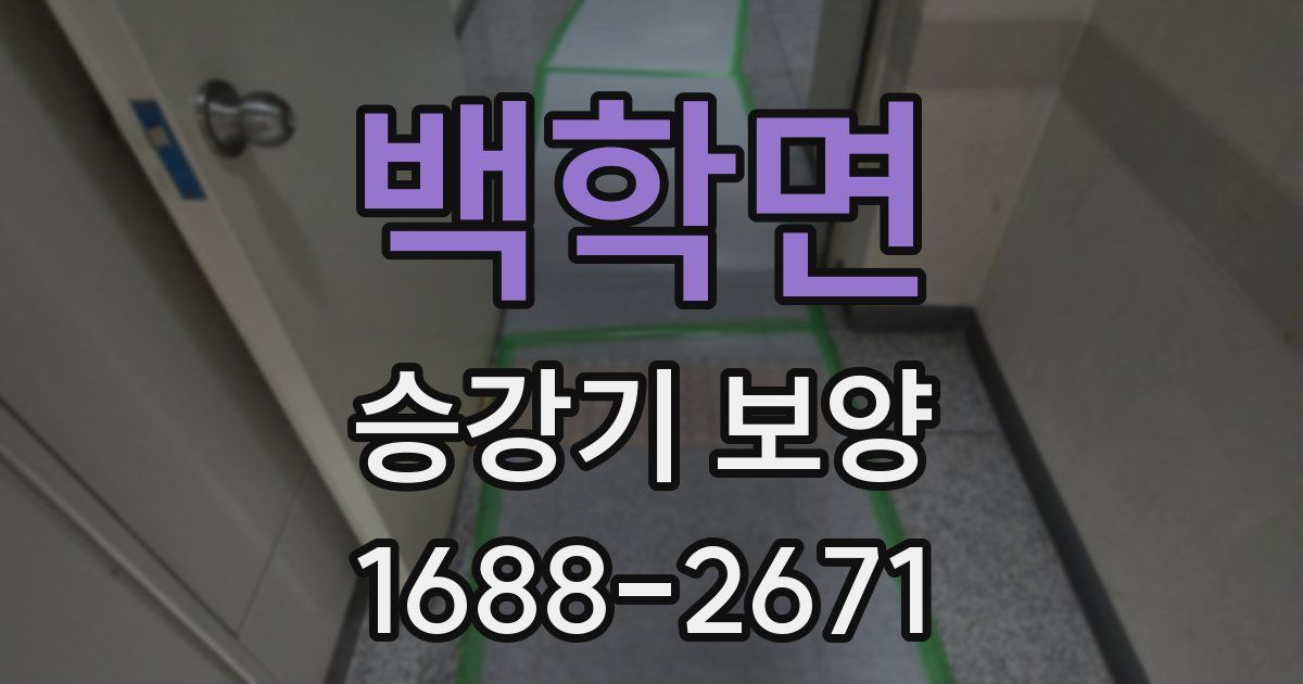 백학면 승강기 보양