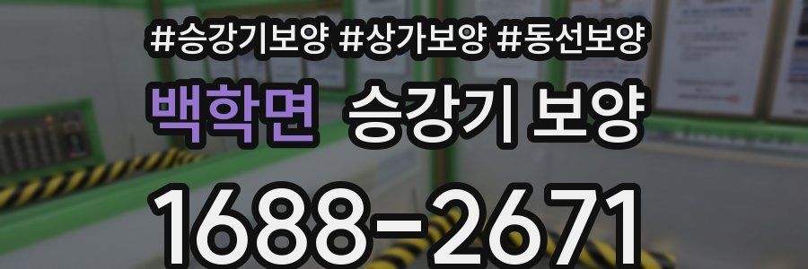 백학면 승강기 보양