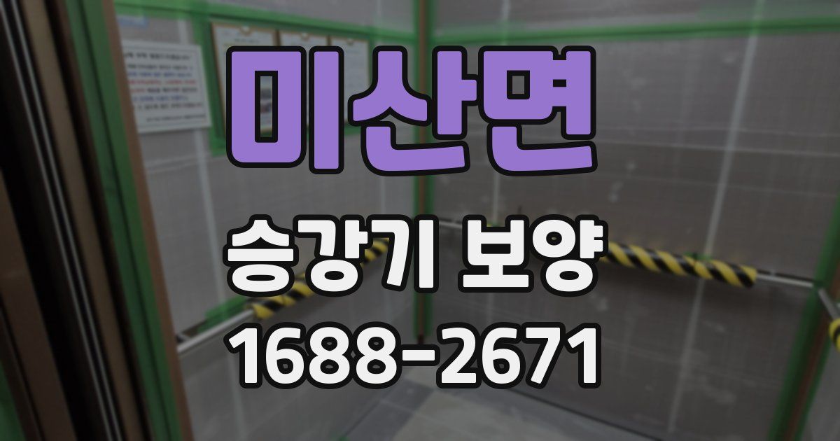 미산면 승강기 보양