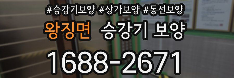 왕징면 승강기 보양