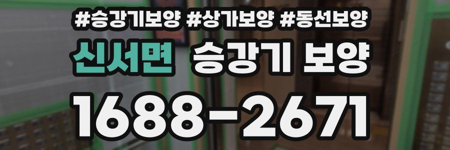 신서면 승강기 보양