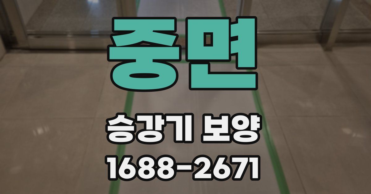 중면 승강기 보양