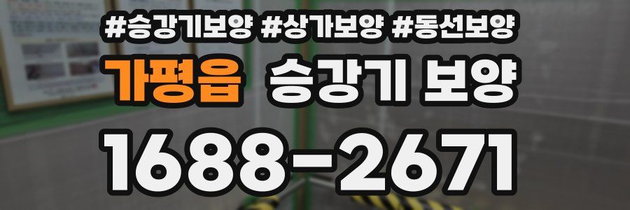 가평읍 승강기 보양
