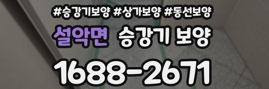 설악면 승강기 보양