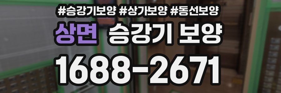 상면 승강기 보양