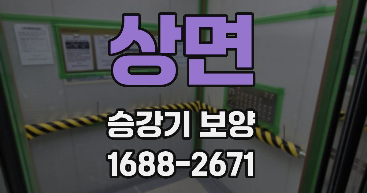 상면 승강기 보양