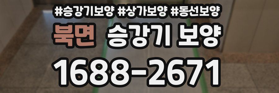 북면 승강기 보양