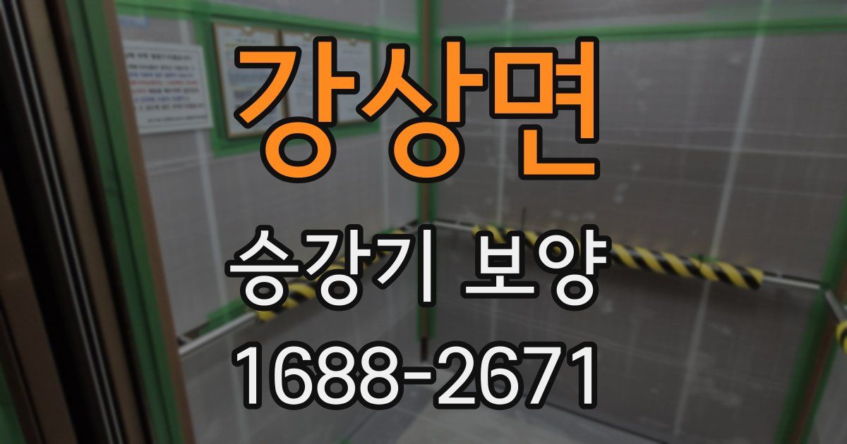 강상면 승강기 보양