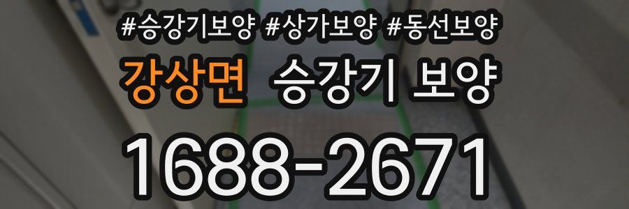 강상면 승강기 보양