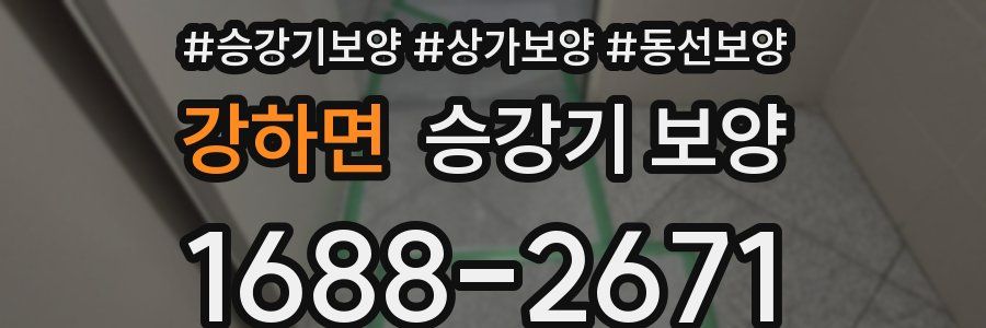 강하면 승강기 보양