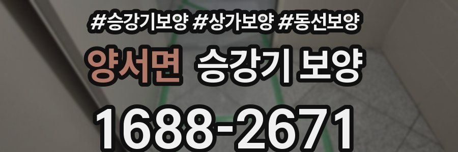 양서면 승강기 보양