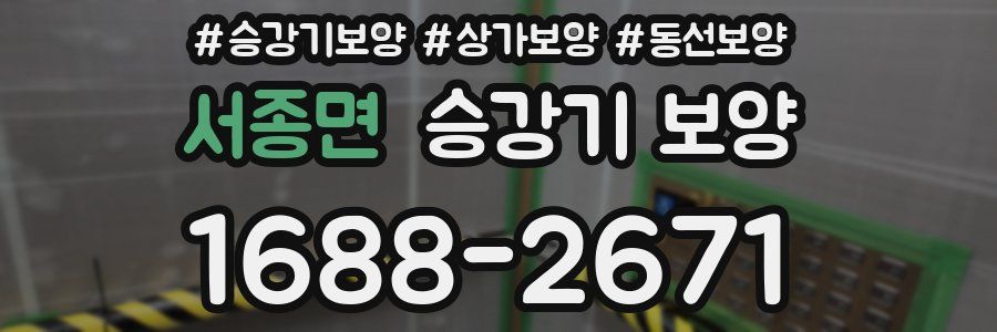 서종면 승강기 보양