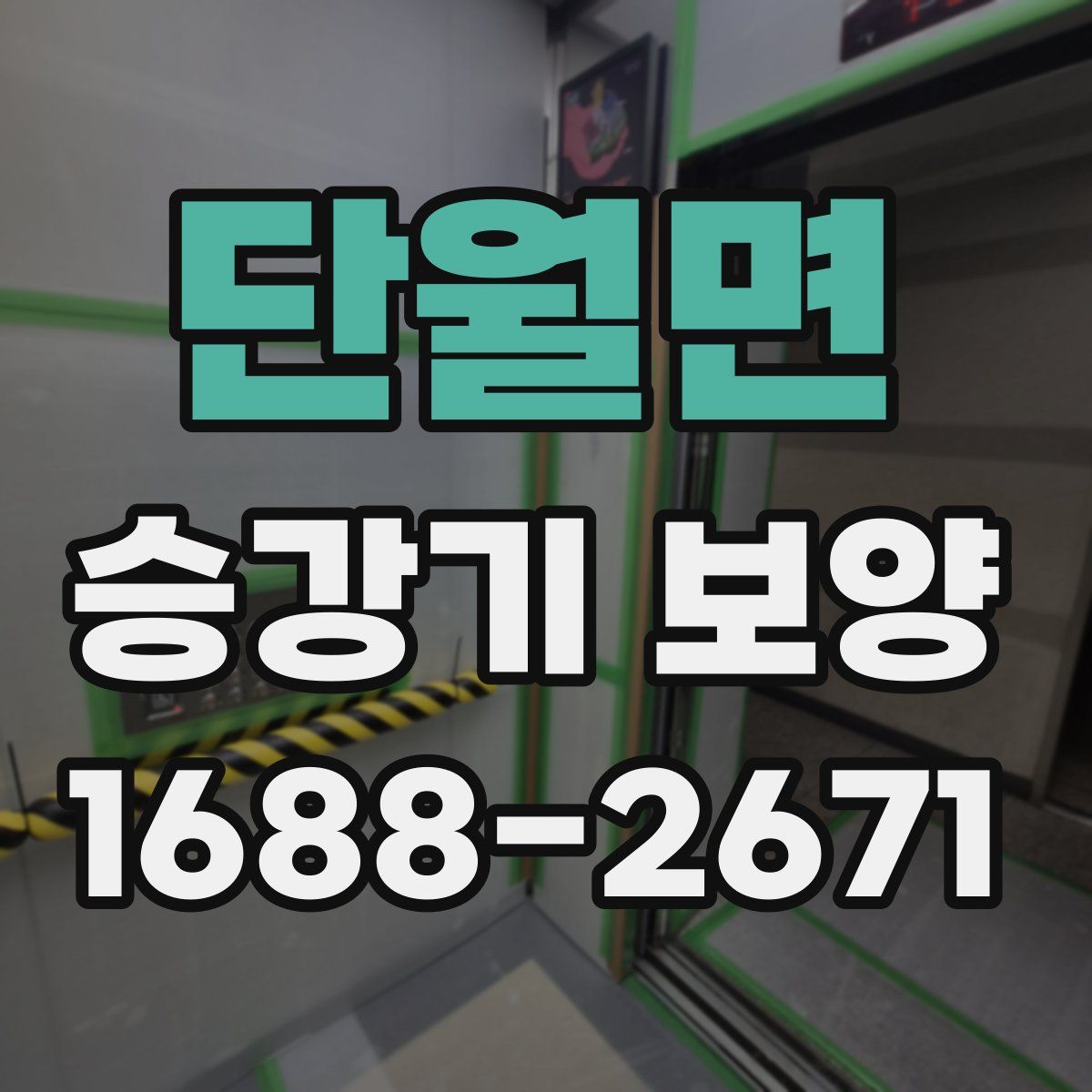 단월면 승강기 보양