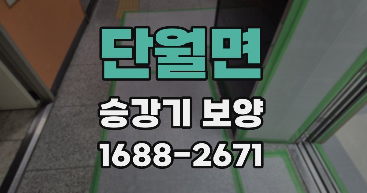 단월면 승강기 보양