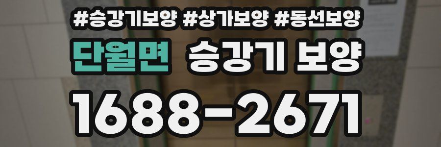 단월면 승강기 보양