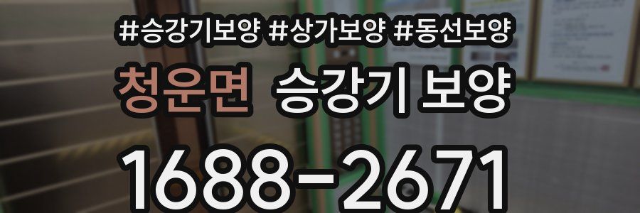 청운면 승강기 보양