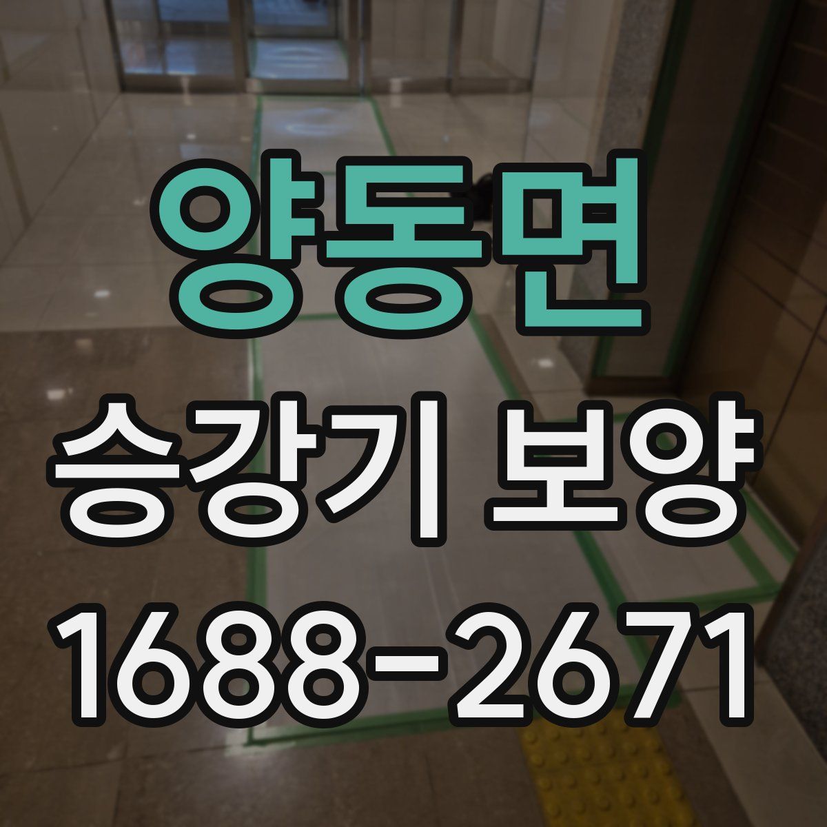 양동면 승강기 보양