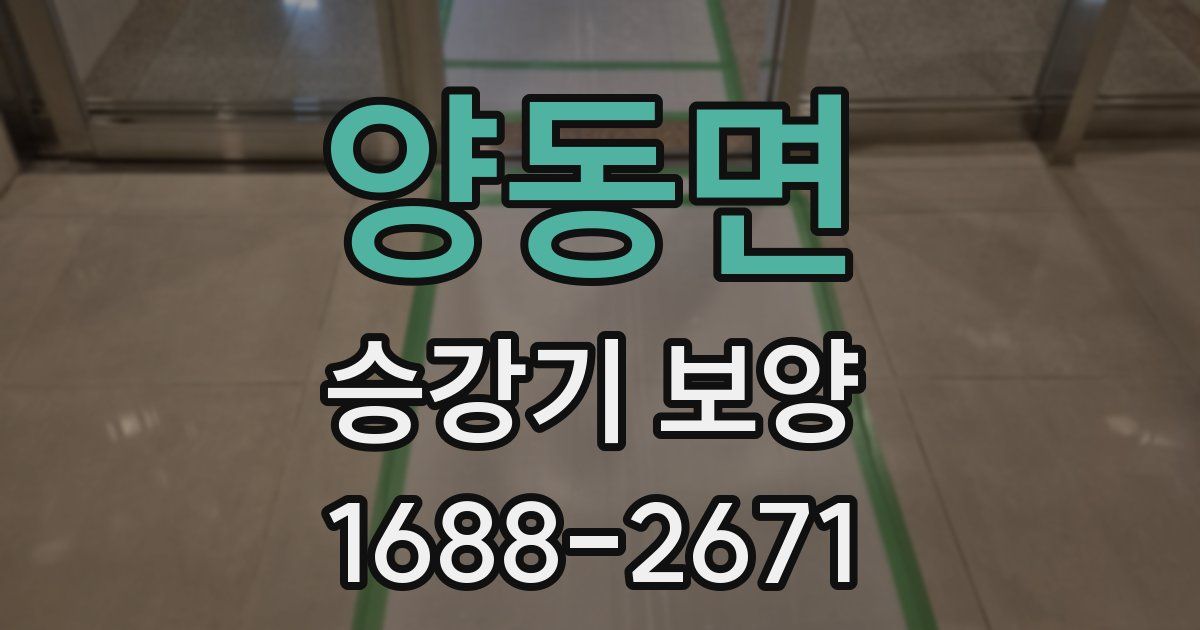 양동면 승강기 보양