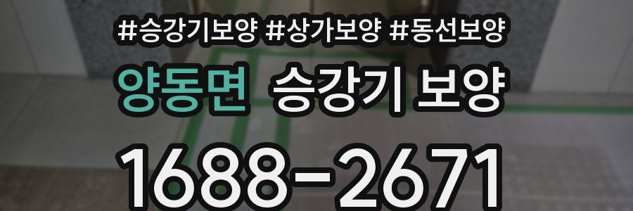양동면 승강기 보양