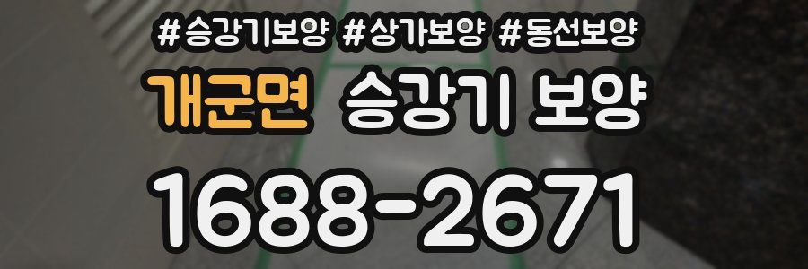 개군면 승강기 보양