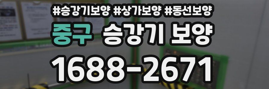 중구 승강기 보양