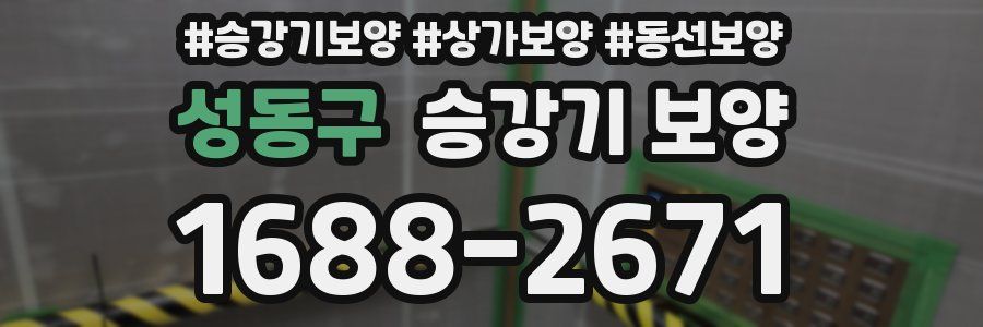 성동구 승강기 보양