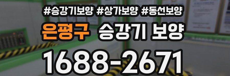 은평구 승강기 보양