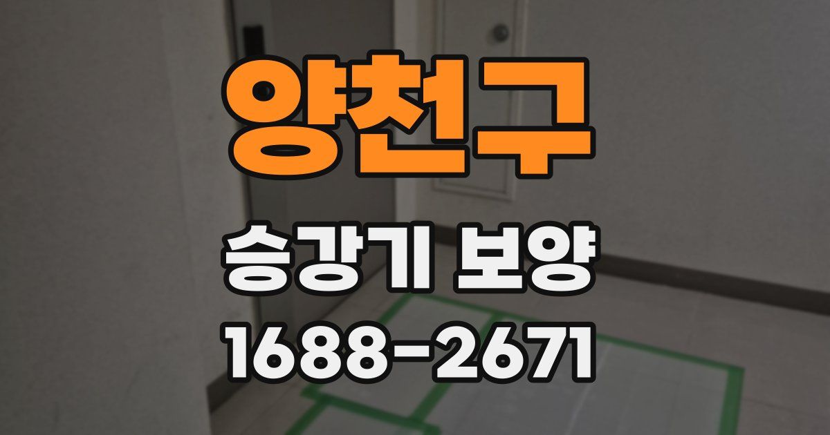 양천구 승강기 보양