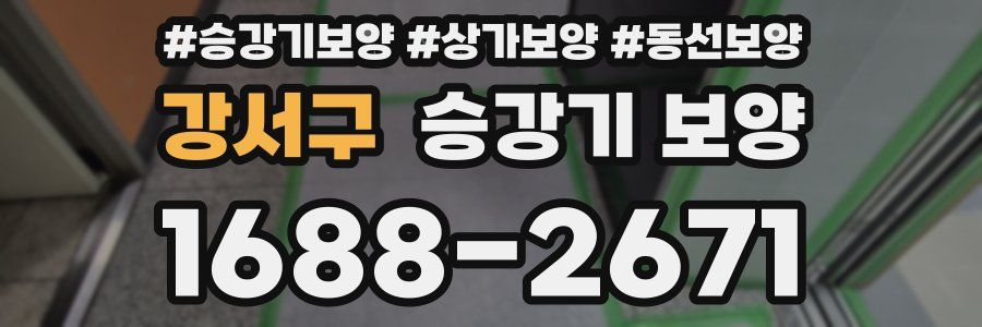 강서구 승강기 보양