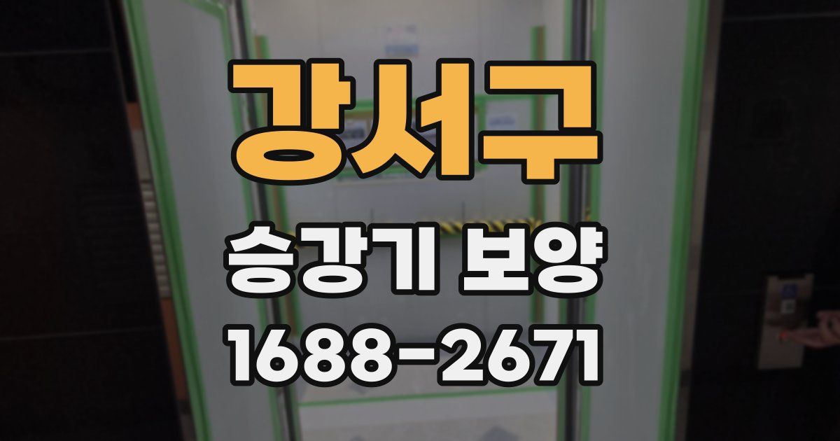 강서구 승강기 보양