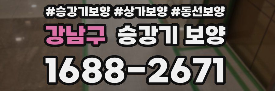 강남구 승강기 보양
