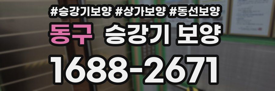 동구 승강기 보양