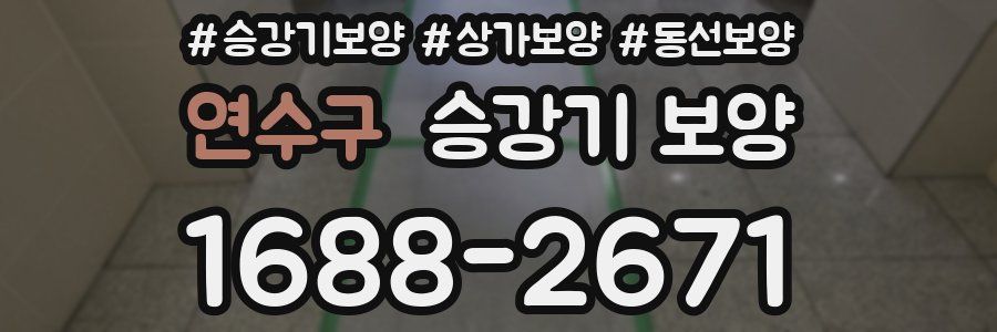 연수구 승강기 보양