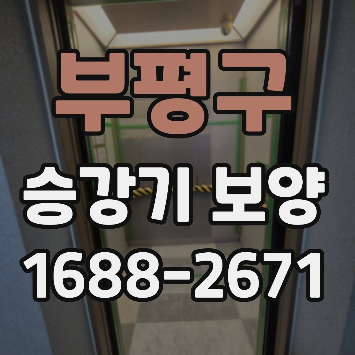 부평구 승강기 보양 범위를 정할 때 고려할 조건