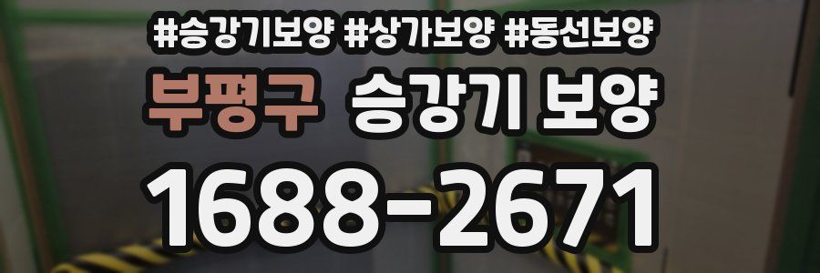 부평구 승강기 보양