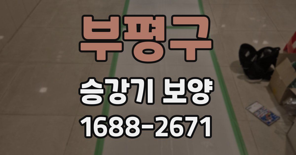 부평구 승강기 보양
