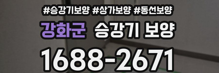 강화군 승강기 보양
