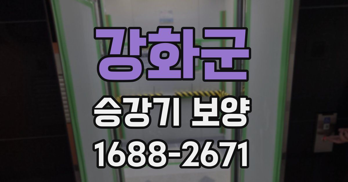 강화군 승강기 보양