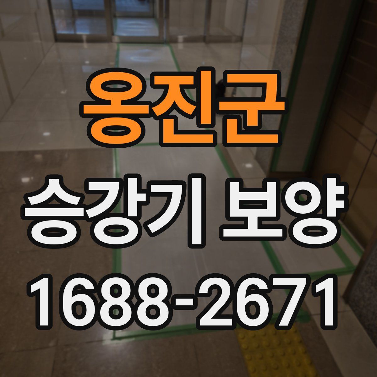 옹진군 승강기 보양