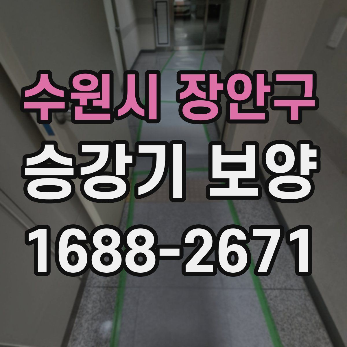 수원시 장안구 승강기 보양