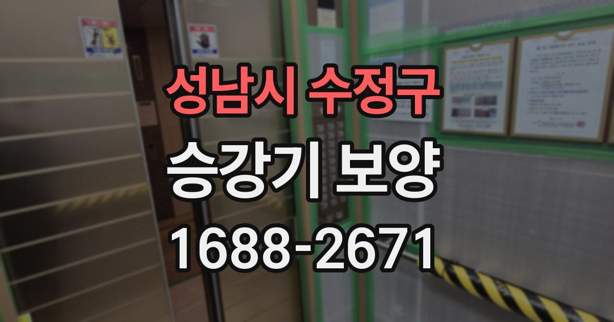 성남시 수정구 승강기 보양