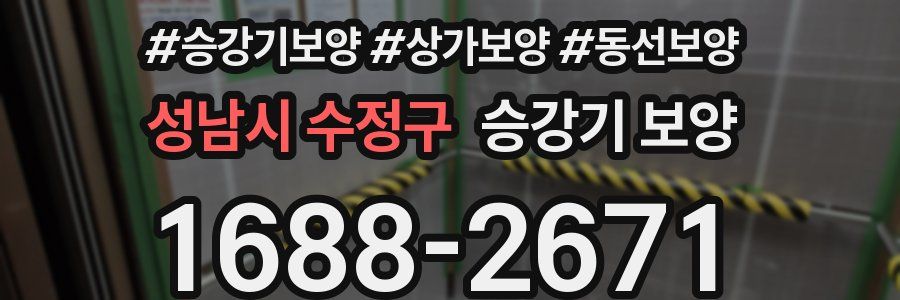 성남시 수정구 승강기 보양