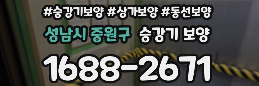 성남시 중원구 승강기 보양