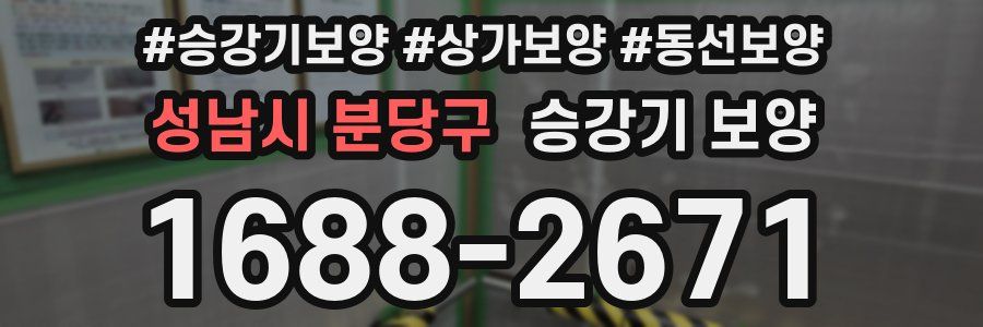성남시 분당구 승강기 보양