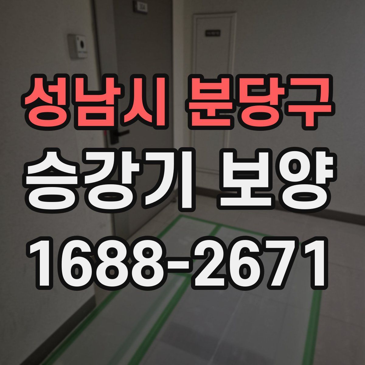 성남시 분당구 승강기 보양
